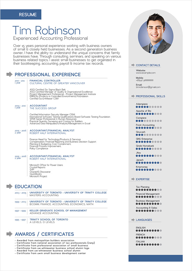 Download professional resume pdf