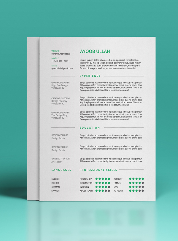 Professional Resume Template