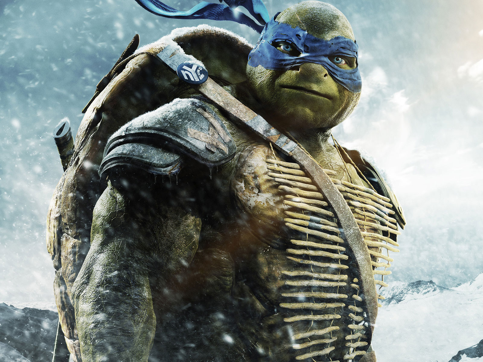 teenage mutant ninja turtles  tmnt 2014  hd desktop