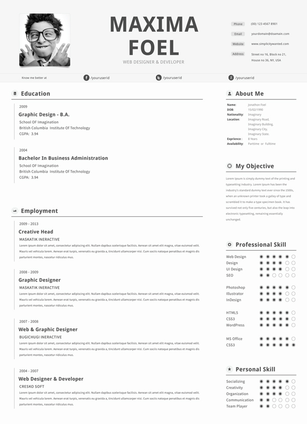 Professional website resume example