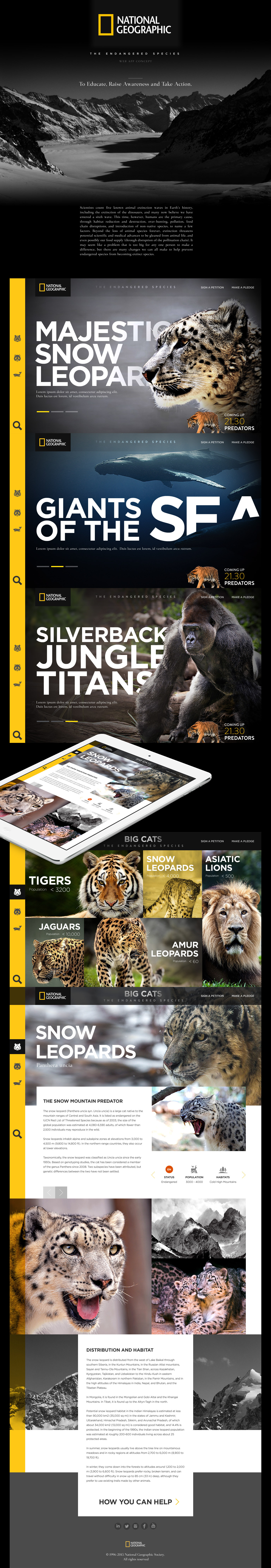 National Geographic  UX Concept-The Endangered Species (1)