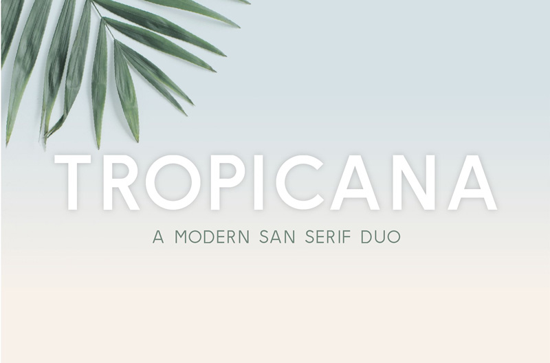 Tropicana-San-Serif-Duo-2018