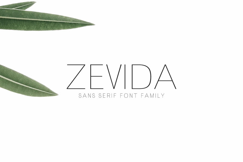 Zevida-Sans-Serif-Font-Family-2018