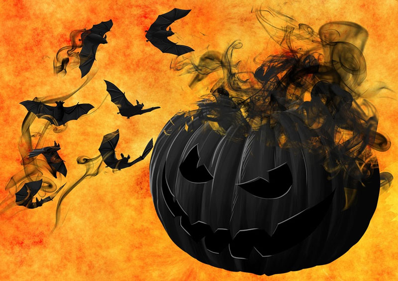 Halloween-Pumpkin-Bats-Night-Creepy-Darkness