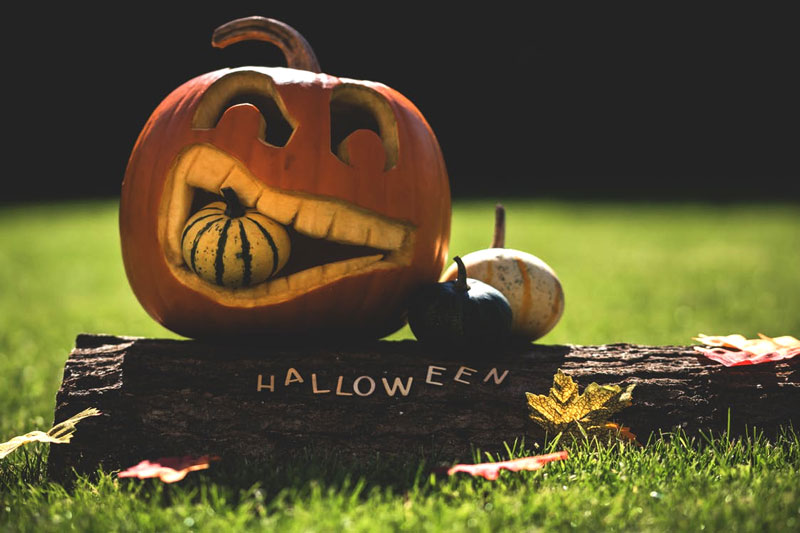 Jack-o-Lantern-in-Garden