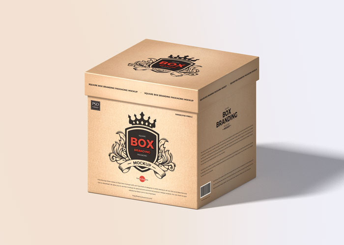 Free-PSD-Box-Packaging-Mockup