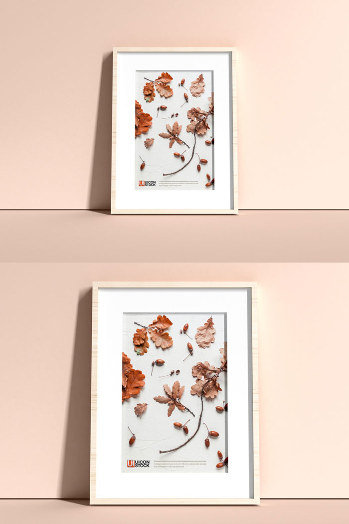 Free-PSD-Elegant-Frame-Mockup