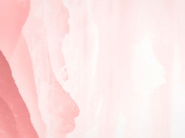Pink-Background-19