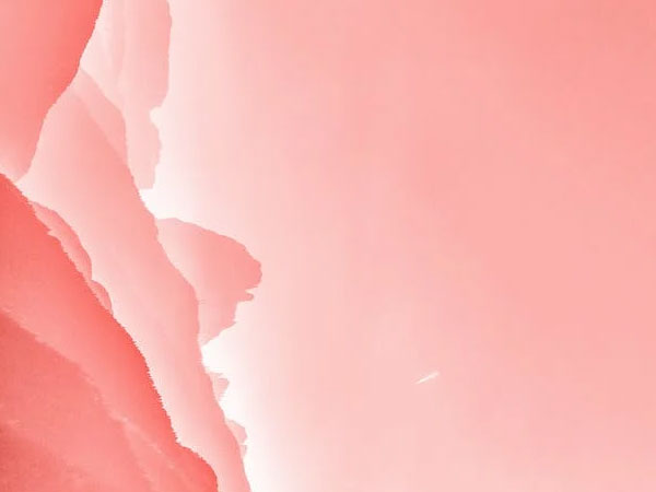 Pink-Background-3