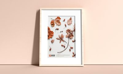 Free-Elegant-Frame-Mockup-PSD