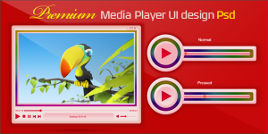 premium media player display
