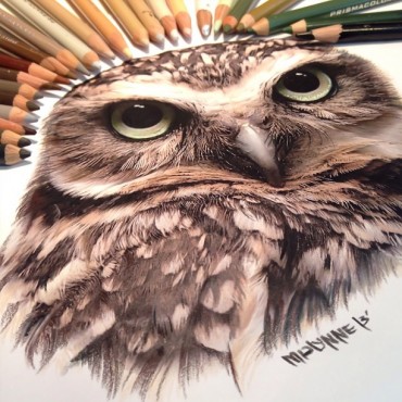 Best Pencil Drawing and Ink Art by Karla Mialynne