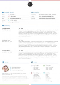 25 Best Free Professional CV (Resume) Templates 2014