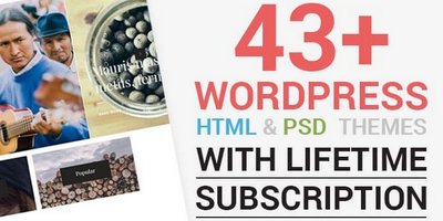 43+ Premium WordPress Themes With Lifetime Subscription