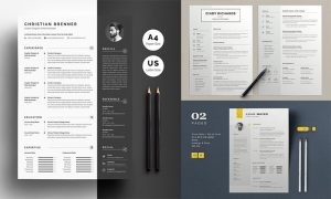 10-Famous-Clean-Resume-Templates-For-Professionals