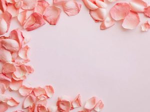 20 Pink Backgrounds Best For Artworks - A Graphic World